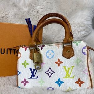 Louis Vuitton multicolored mini speedy